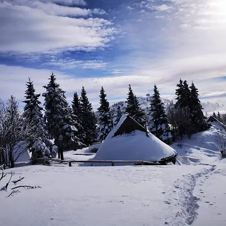 Resa - Velika Planina *