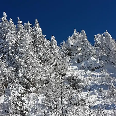 Resa - Velika Planina *