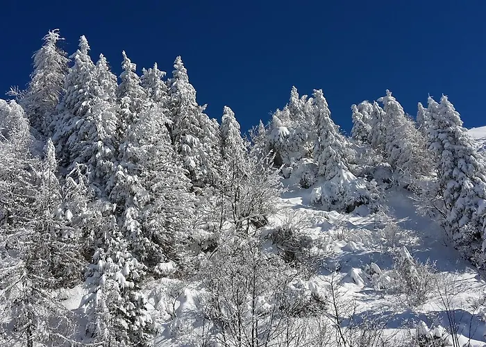 Resa - Velika Planina *